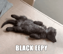 Eepy Eepy Cat GIF - Eepy Eepy Cat Black Eepy GIFs