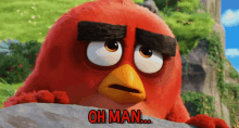 Oh Man GIF - Angry Birds Movie Oh Man Concerned GIFs
