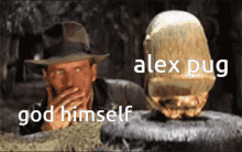 Alex Pug GIF - Alex Pug GIFs