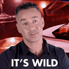 Its Wild Mike Sorrentino GIF - Its Wild Mike Sorrentino Jersey Shore Family Vacation GIFs