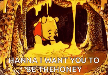 Honey Pooh GIF - Honey Pooh Pooh Bear GIFs