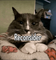 Reconsider GIF - Reconsider GIFs