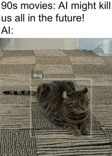 Cat Dog GIF - Cat Dog Meme GIFs