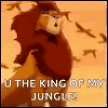 Lion King U The King Of The Jungle GIF