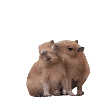 Capybara Heart Sticker - Capybara Heart Cute Stickers