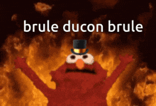 elmo wearing a top hat with the words brule ducon brule