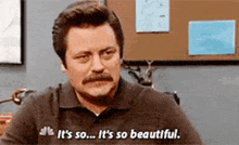 a man with a mustache is saying `` it 's so ... it 's so beautiful '' .