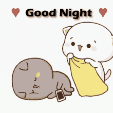 Blanket Goodnight GIF - Blanket Goodnight Night GIFs