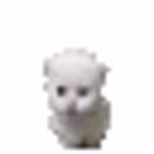 bouncy cat