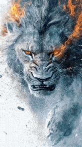 a picture of a lion with flames coming out of its mane