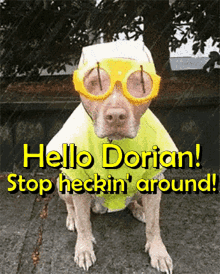 Dorian Hurricane Prep GIF - Dorian Hurricane Prep Funny GIFs