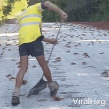 Sweeping The Road Viralhog GIF - Sweeping The Road Viralhog Crab Sweeper GIFs