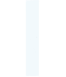 a drawing of a person 's face on a white background .