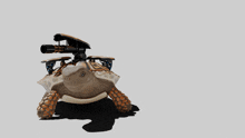Le Turtle With Le Minigun GIF