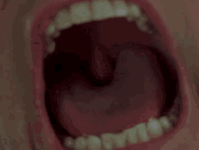 Ahh Screaming GIF - Ahh Screaming Scream GIFs