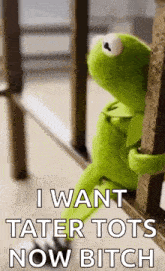 kermit the frog is sitting on a railing behind bars and saying `` i want tater tots now bitch '' .