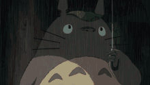 Studio Ghibli My Neighbor Totoro GIF