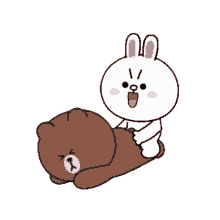 tkthao219 brown and cony
