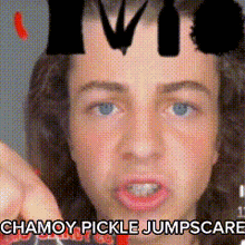 Chamoy Pickle Lukedidthat GIF - Chamoy Pickle Lukedidthat Jumpscare GIFs