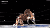 two women are wrestling in a ring with the word stardom on the bottom right
