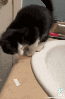 Cat Meme GIF - Cat Meme Fall Down GIFs