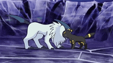 Absol Umbreon GIF - Absol Umbreon Nuzzle GIFs