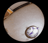 a circular object with a purple and white star on it