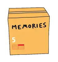 a cardboard box with memories written on it
