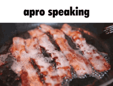 apro speaking apro bacon apro speak