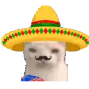 a cat with a sombrero and a mustache is wearing a shirt .