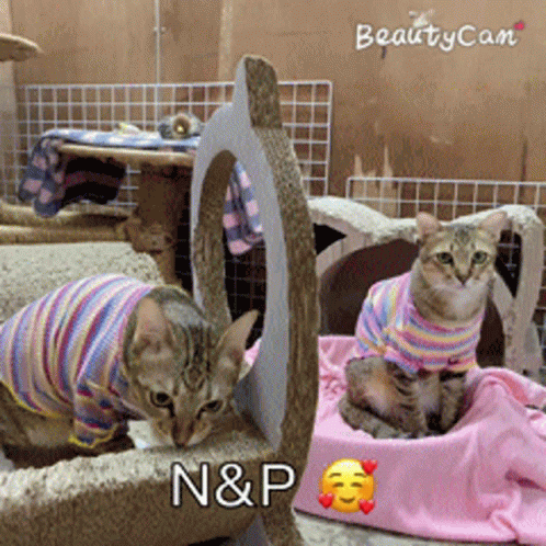 Nmmm GIF - Nmmm - Discover & Share GIFs