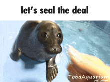 Let'S Seal The Deal Dap Me Up GIF - Let'S Seal The Deal Dap Me Up Fist Bump GIFs