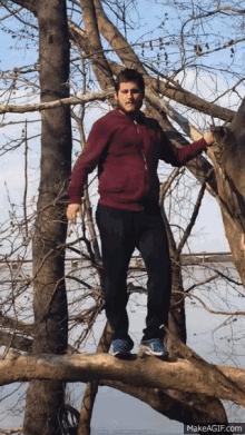 a man standing on a tree branch with makeagif.com written on the bottom