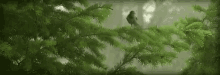 Bird Tree GIF - Bird Tree Plant GIFs
