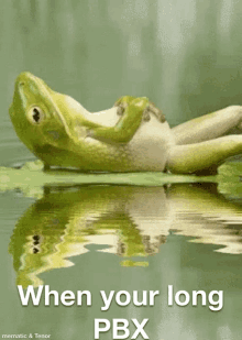Pbx Frog Relaxing GIF - Pbx Frog Relaxing GIFs