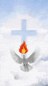shalom selamat datang dan selamat beribadah is written above a dove