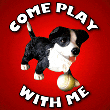 Come Play With Me Playtime GIF - Come Play With Me Playtime Border Collie GIFs