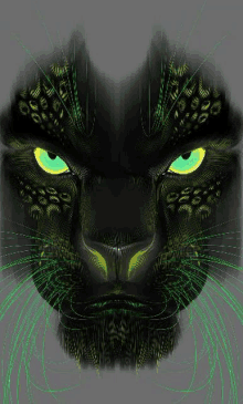 Black Leopard GIF - Black Leopard GIFs