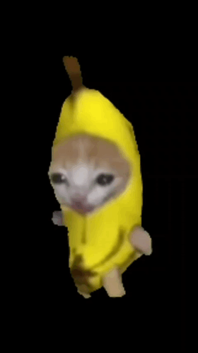 Banana Cat Walking GIF - Banana cat walking - Descubrir y compartir GIFs