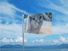 a flag with a picture of a cat with long ears