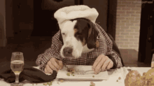 Lunch Funny Animal GIF