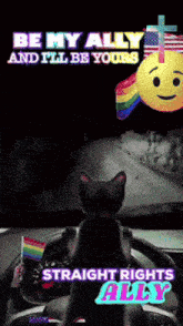 a cat is sitting in a car with a rainbow flag and a smiley face with the words straight rights ally