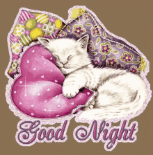 Good Night Kitty GIF - Good Night Kitty Sleeping GIFs