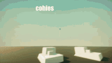 Cohies Bodatials GIF - Cohies Bodatials GIFs