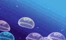 Jelly Fish GIF - Jelly Fish GIFs