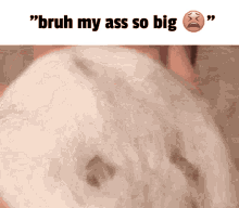 Big Ass Big Butt GIF - Big Ass Big Butt Flat Ass GIFs