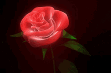 Roses Red GIF - Roses Red Flower GIFs
