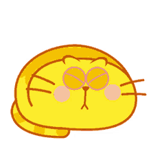 astonished surprised woaaaah fat kitty cat egg yolk cat