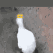 Duck Waddle GIF - Duck Waddle Queen GIFs