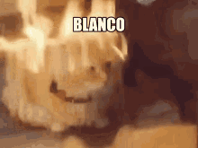 Blanco GIF - Blanco GIFs